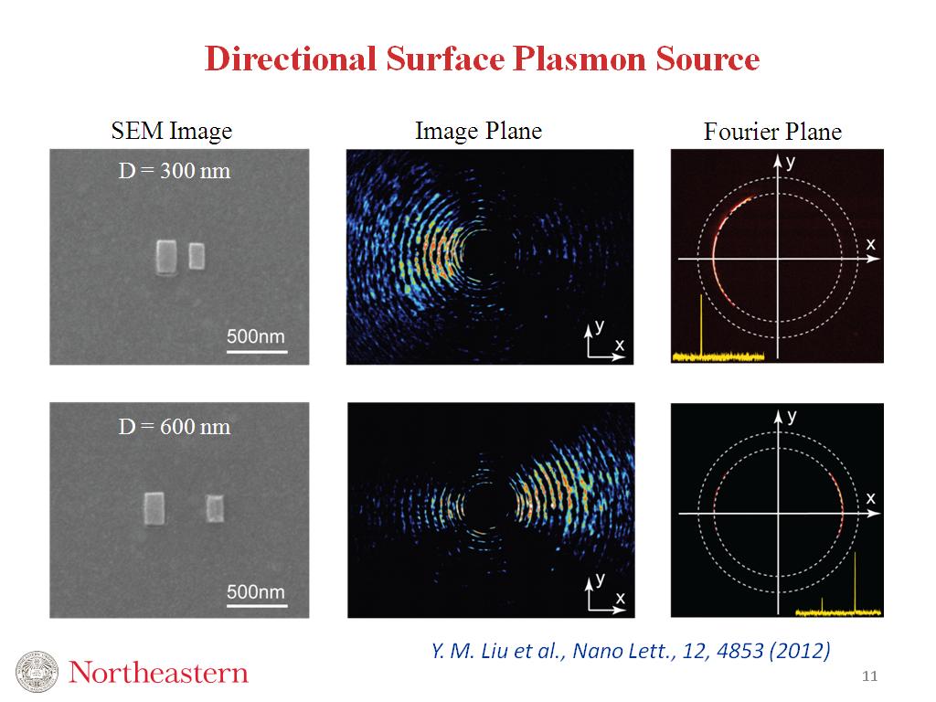 Directional Surface Plasmon Source