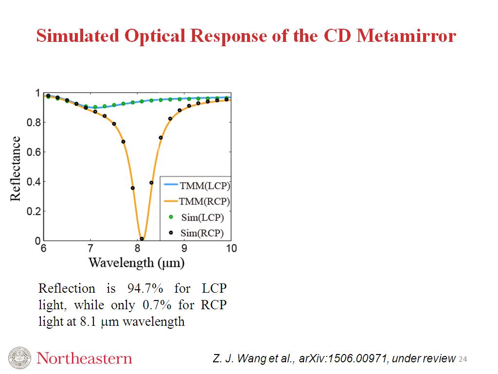 Simulated Optical Response of the CD Metamirror