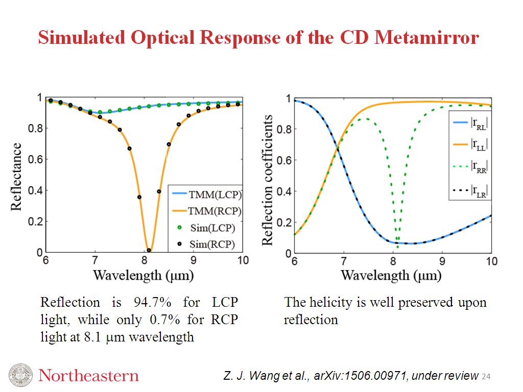 Simulated Optical Response of the CD Metamirror