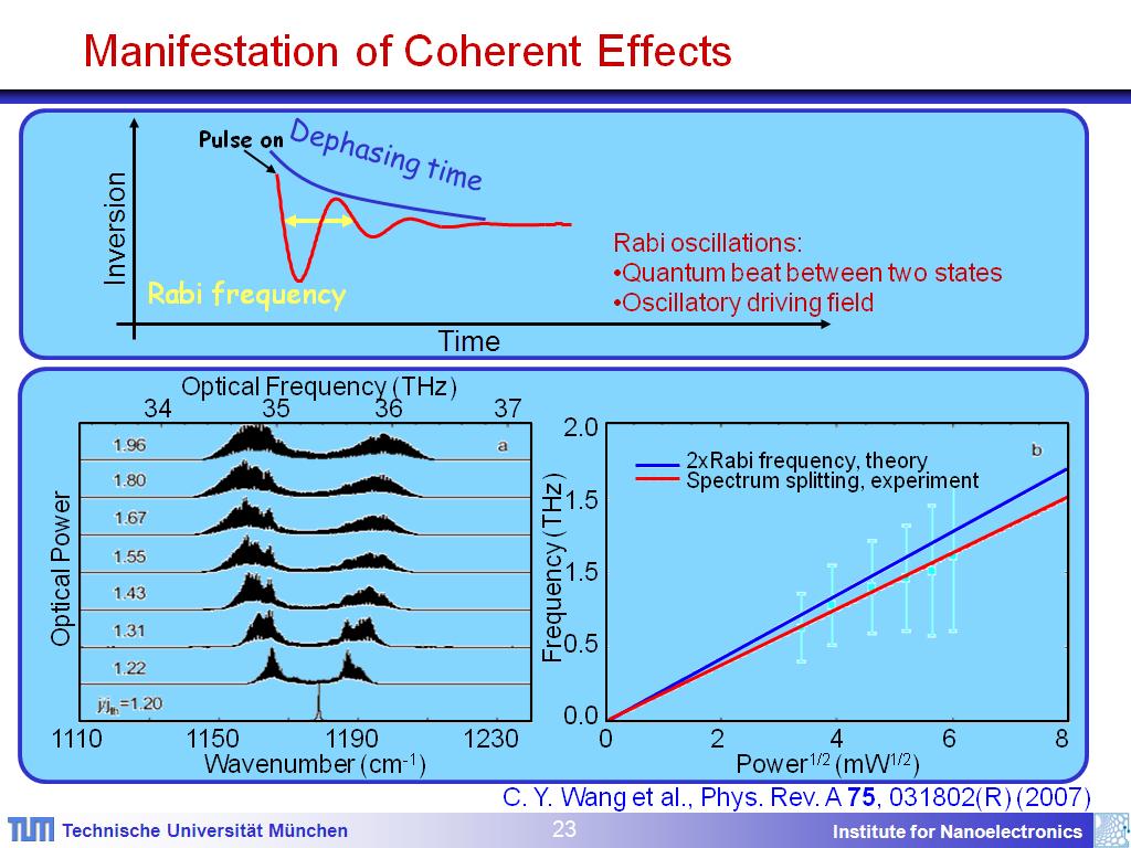 Manifestation of Coherent Effects