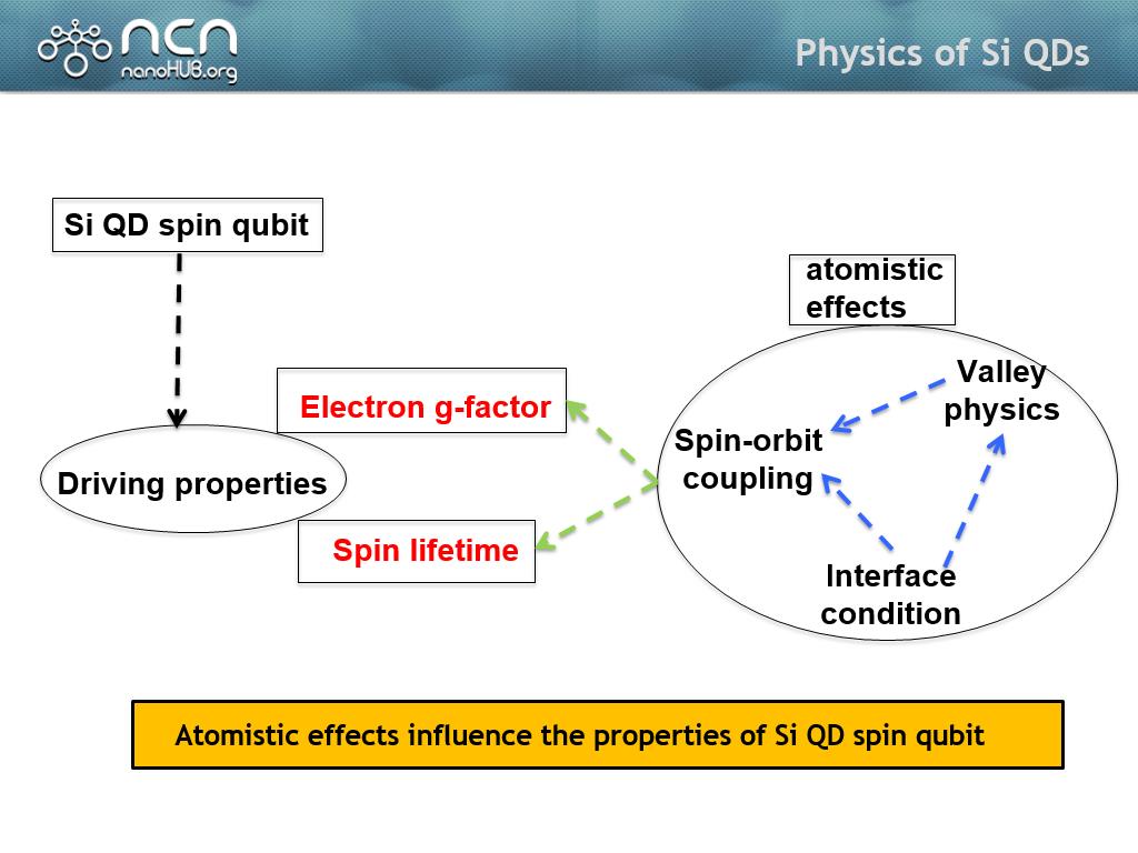 Physics of Si QDs