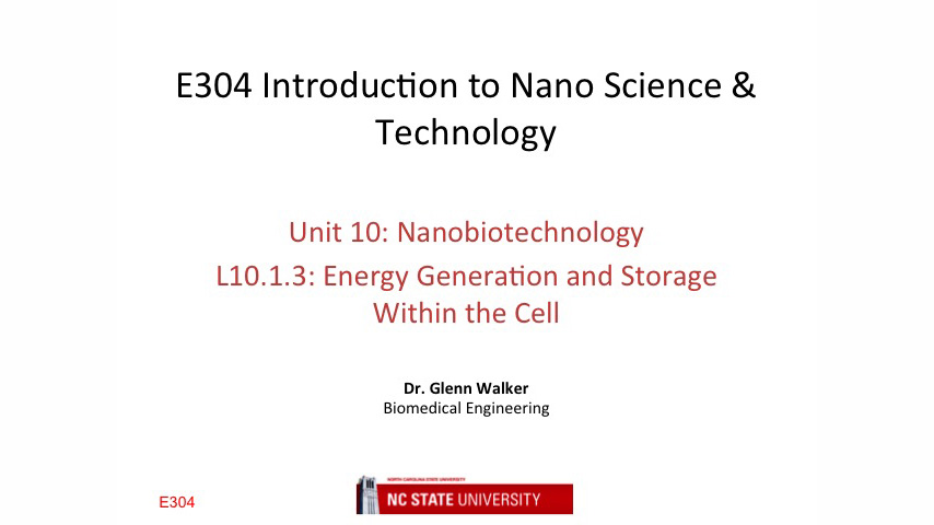 L10.1.3: Energy Generation and Storage Within the Cell