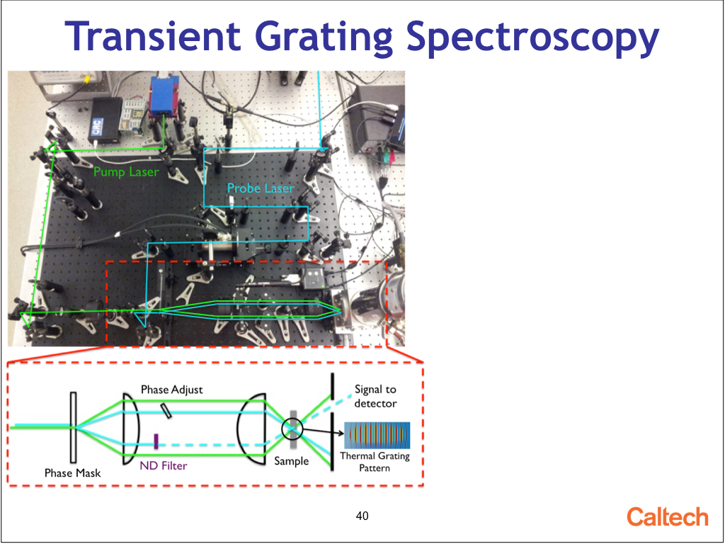 Transient Grating Spectroscopy