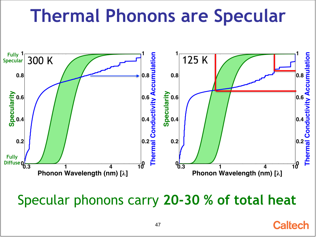 Thermal Phonons are Specular