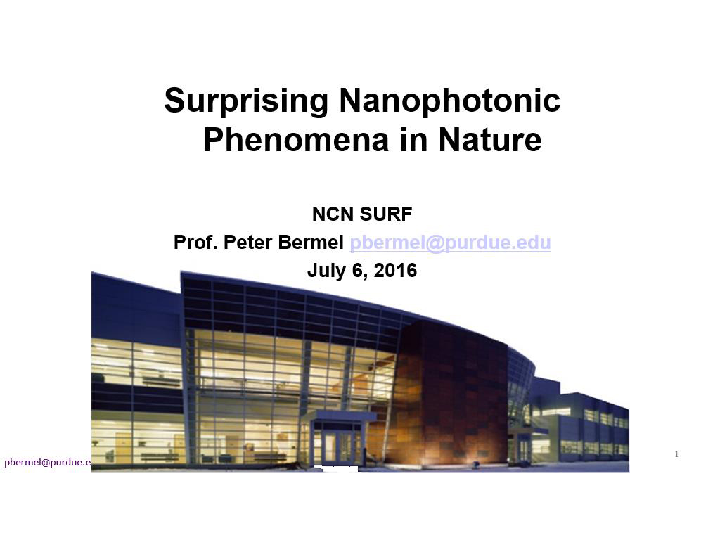 Surprising Nanophotonic Phenomena in Nature