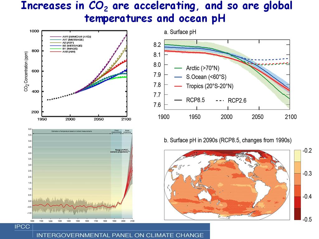 Increases in CO2 are accelerating