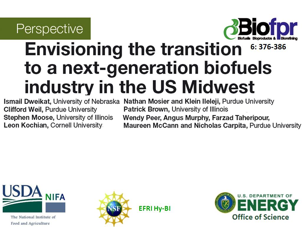 Envisioning the transition to a next-generation biofules industry in the US Midwest