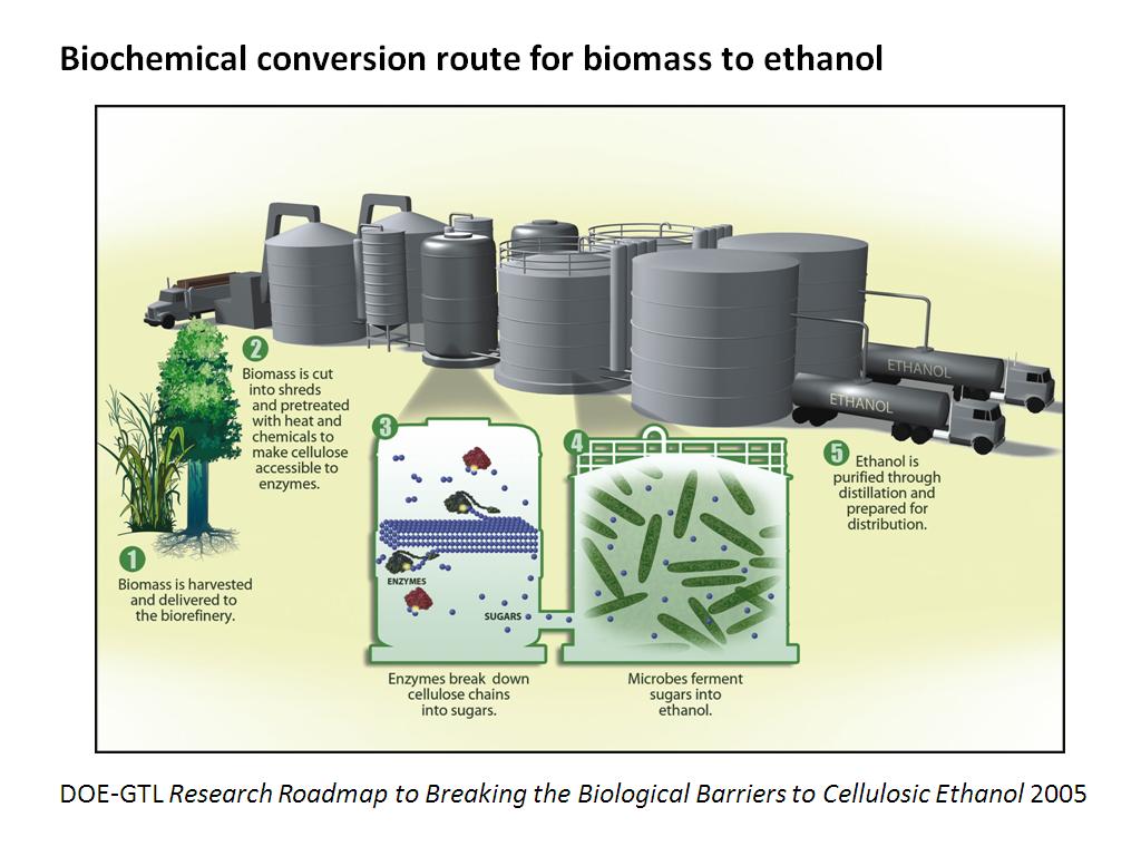 Biochemical conversion route for biomass to ethanol
