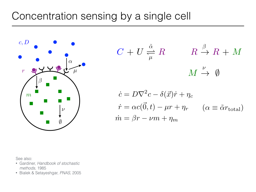 Concentration sensing by a single cell