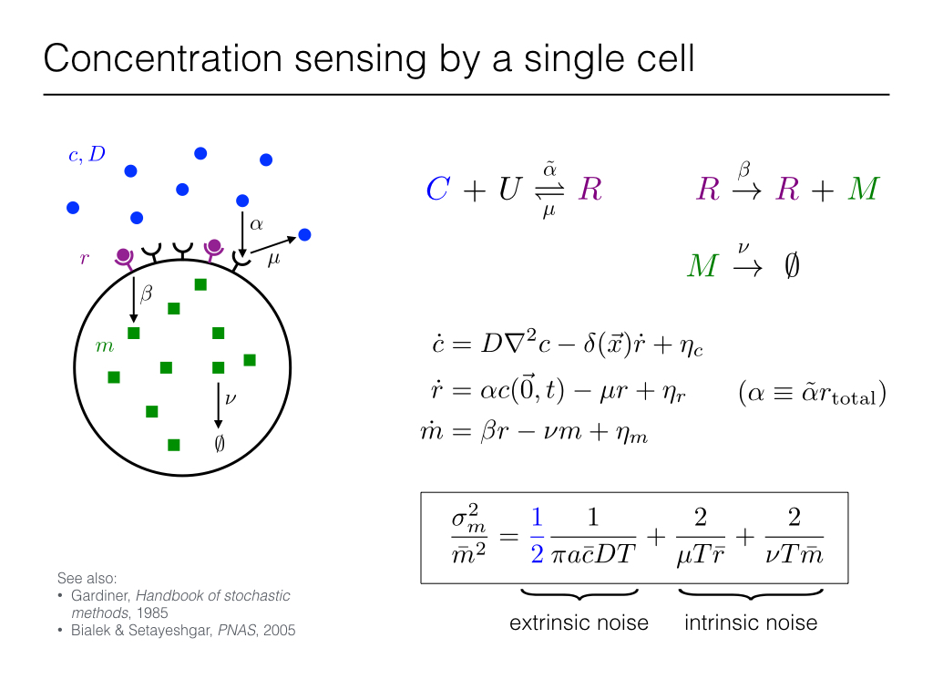Concentration sensing by a single cell