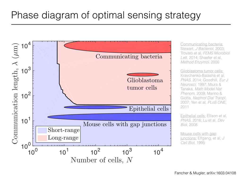 Phase diagram of optimal sensing strategy