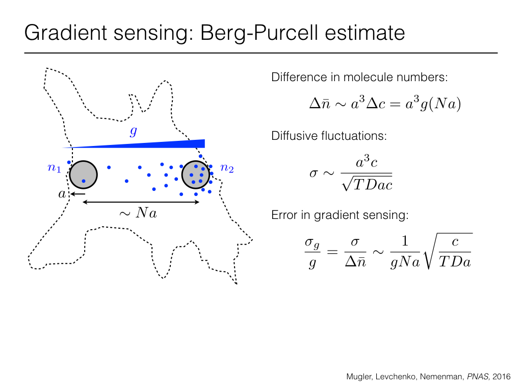 Gradient sensing: Berg-Purcell estimate