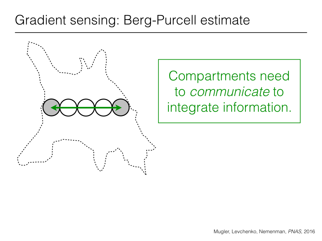 Gradient sensing: Berg-Purcell estimate