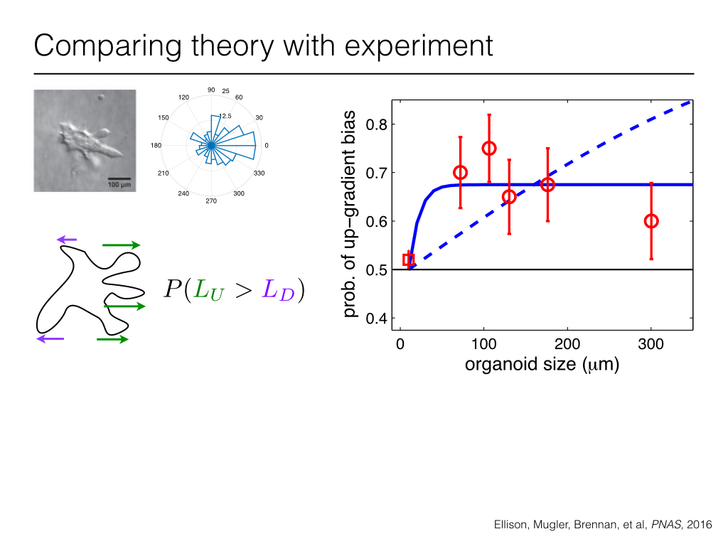 Comparing theory with experiment