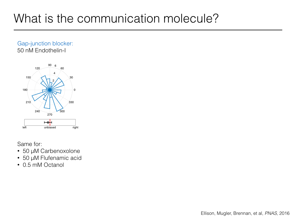 What is the communication molecule?