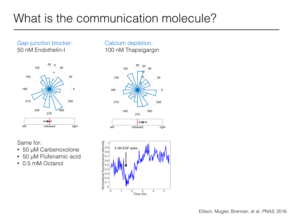 What is the communication molecule?