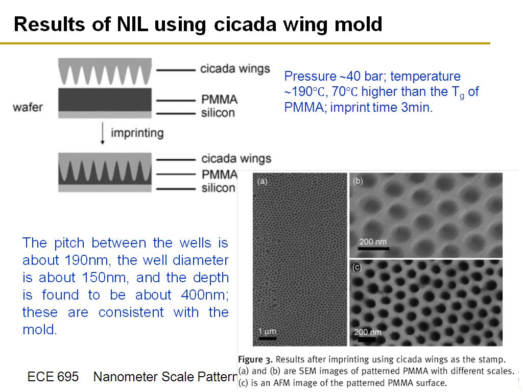 Results of NIL using cicada wing mold