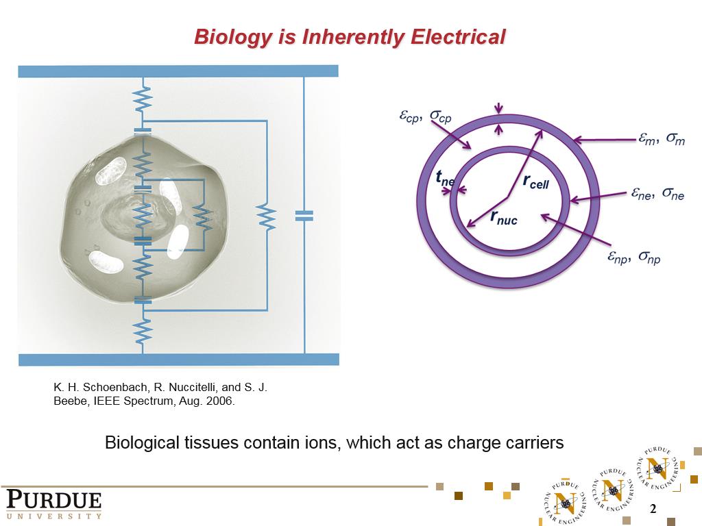 Biology is Inherently Electrical