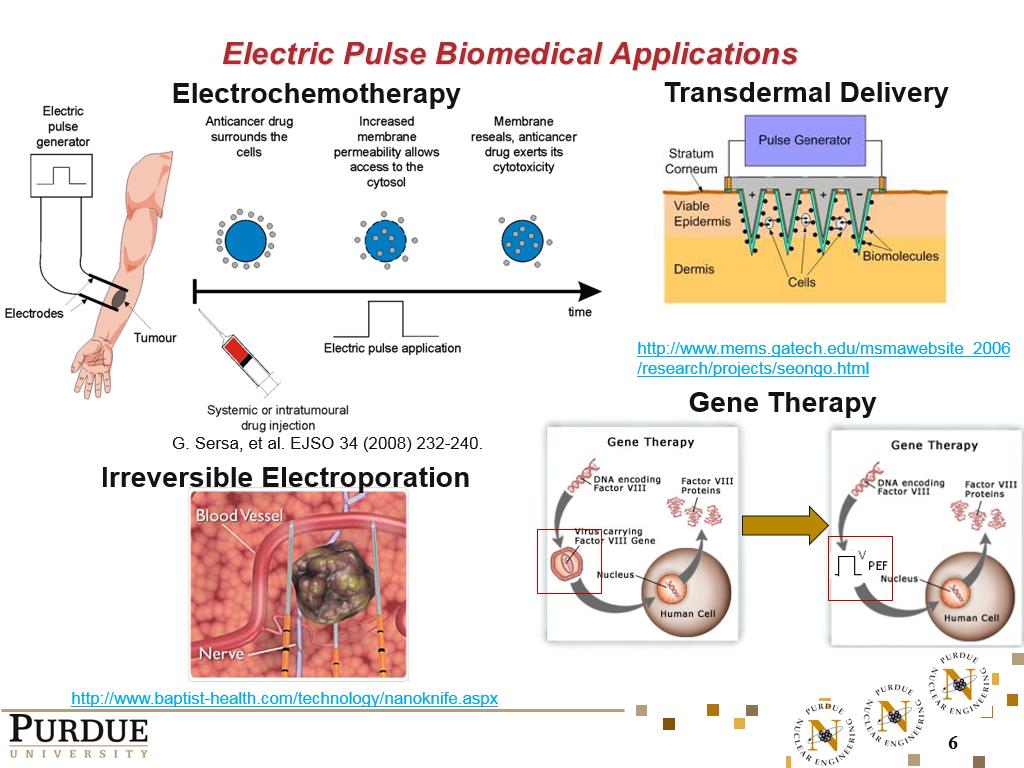 Electric Pulse Biomedical Applications
