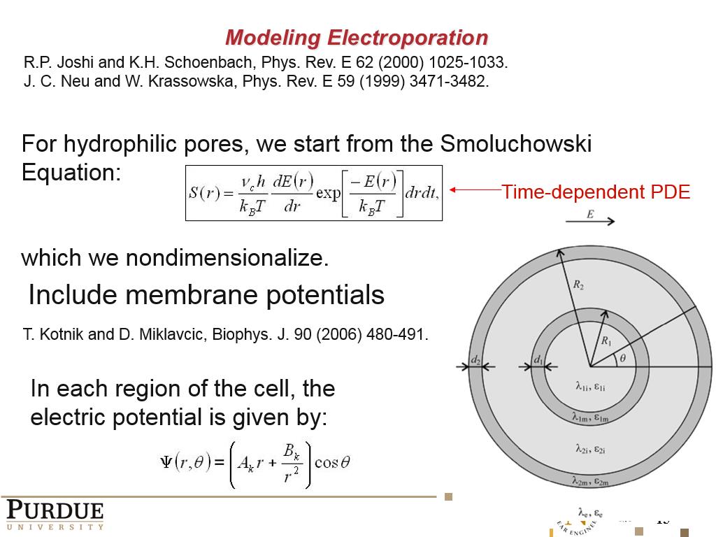 Modeling Electroporation