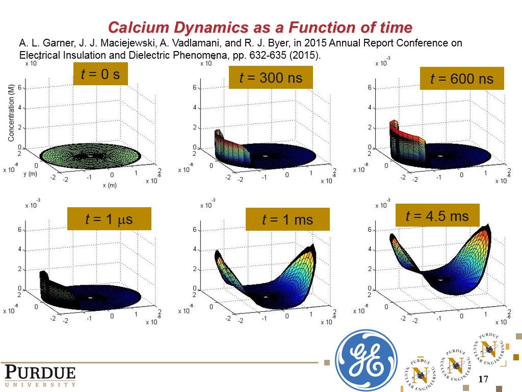 Calcium Dynamics as a Function of time