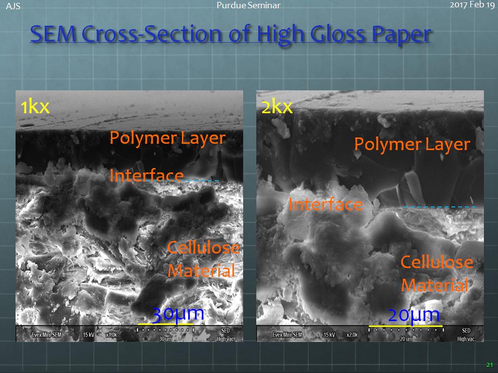 SEM Cross-Section of High Gloss Paper