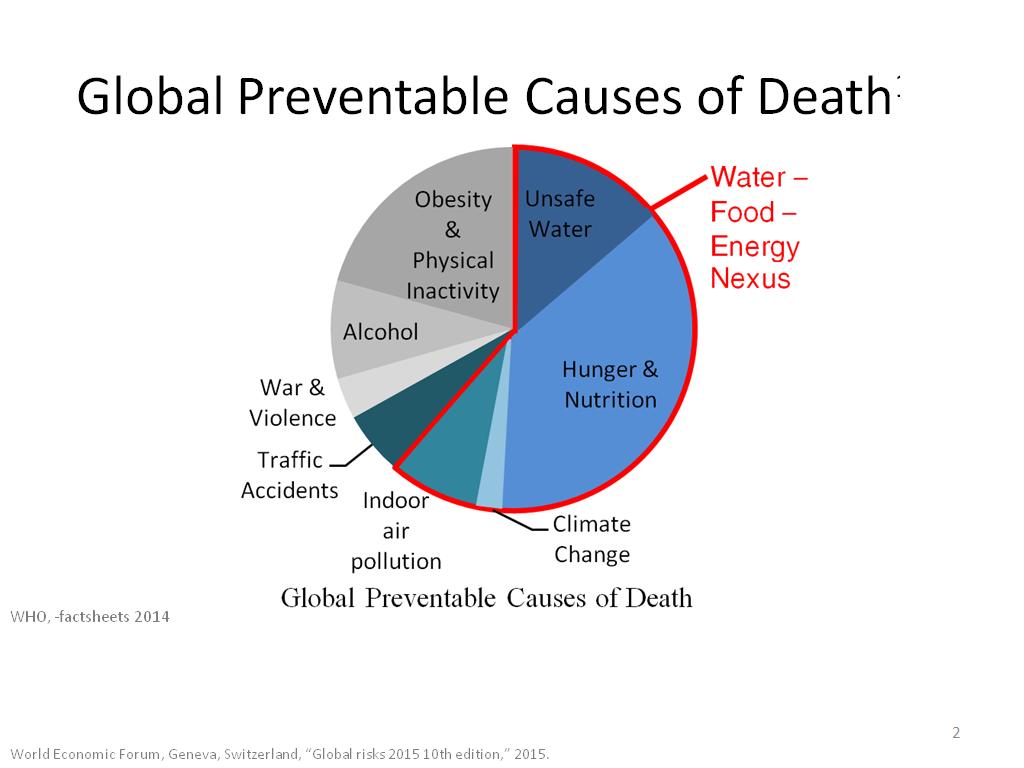 Global Preventable Causes of Death1-3