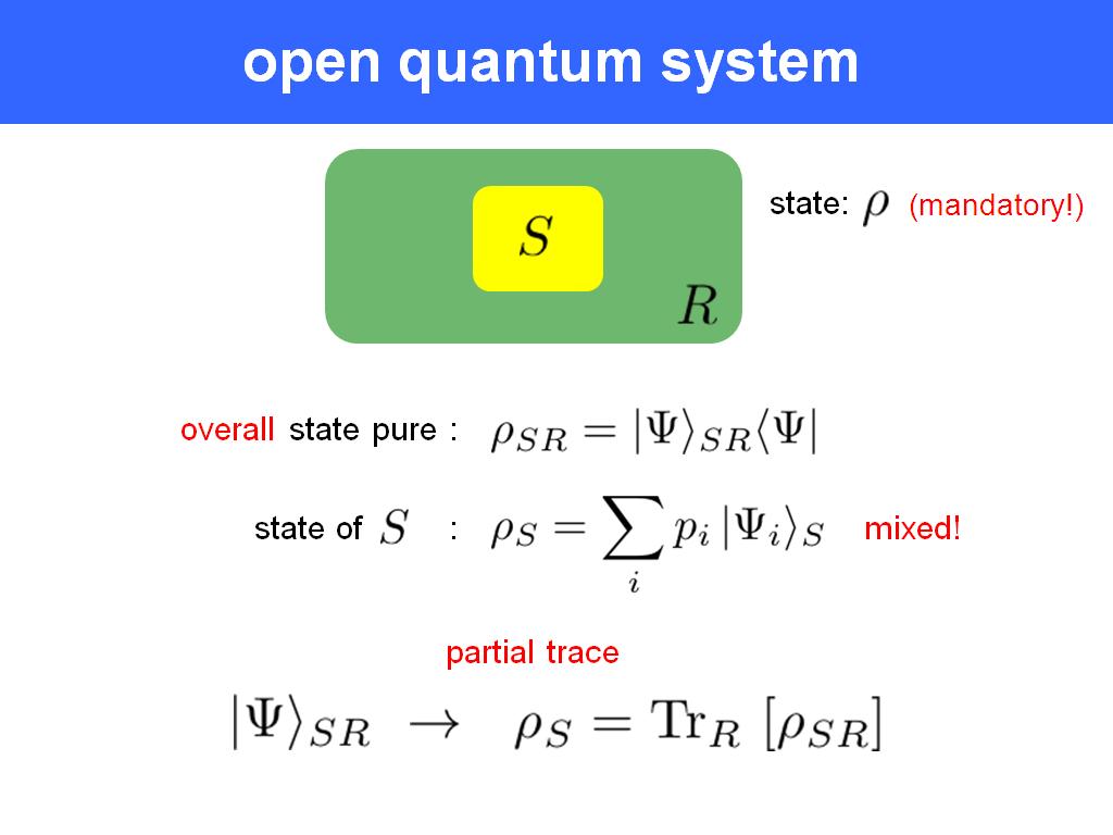 open quantum system