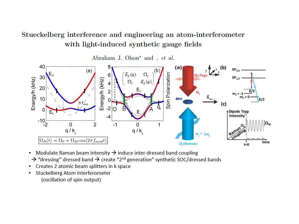 functional role of quantum coherence in interfacial water