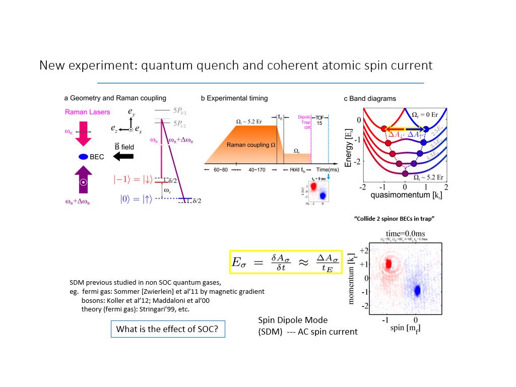 New experiment: quantum quench and coherent atomic spin current