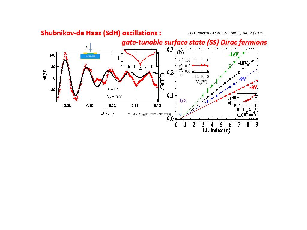 Shubnikov-de Haas (SdH) oscillations