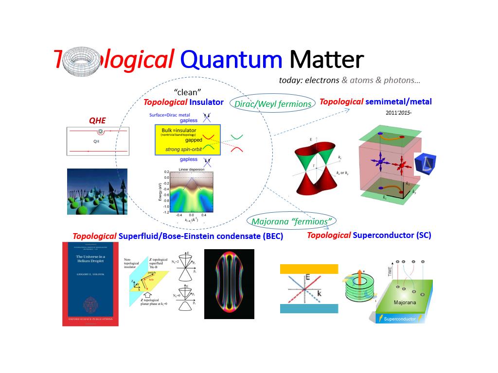 Topological Quantum Matter