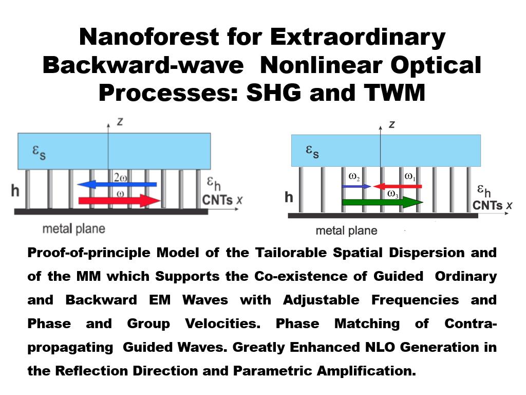Nanoforest for Extraordinary Backward-wave Nonlinear Optical Processes: SHG and TWM