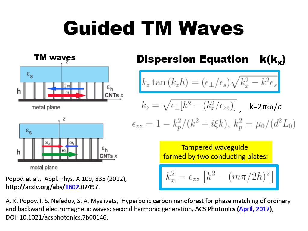 Guided TM Waves