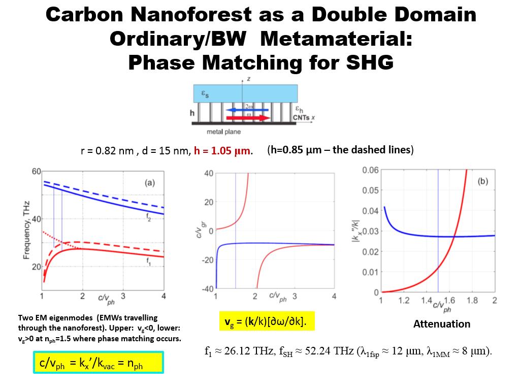 Carbon Nanoforest as a Double Domain Ordinary/BW Metamaterial: Phase Matching for SHG