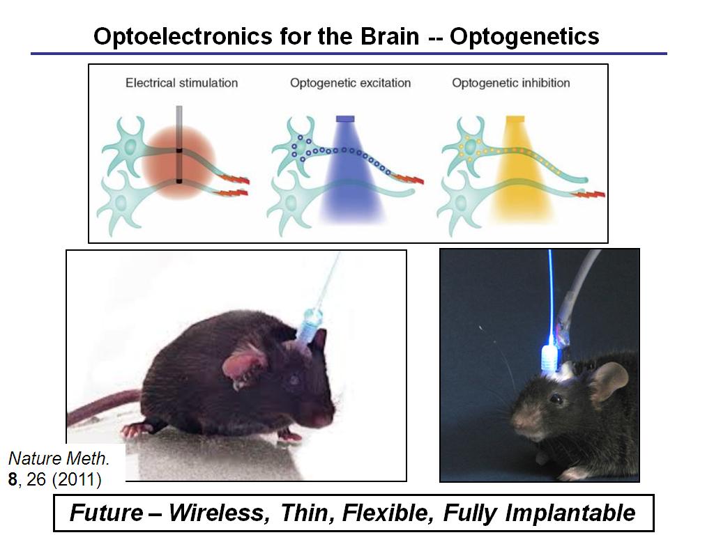 Optoelectronics for the Brain -- Optogenetics