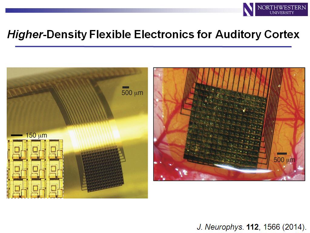Higher-Density Flexible Electronics for Auditory Cortex