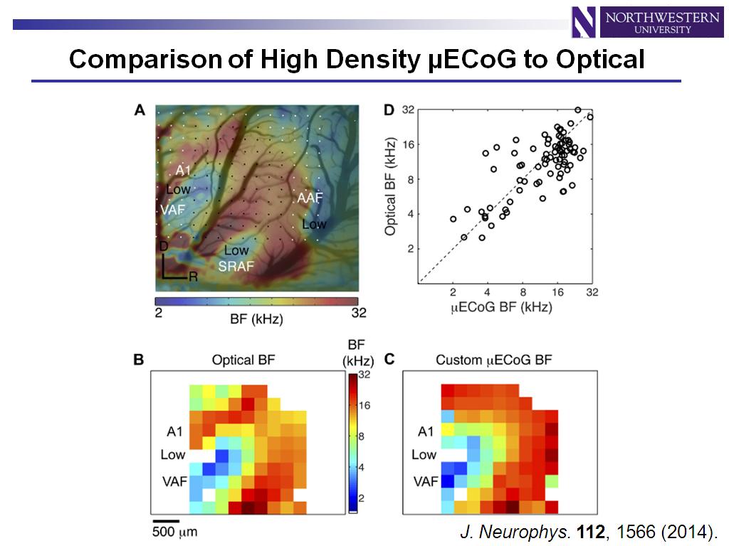 Comparison of High Density µECoG to Optical