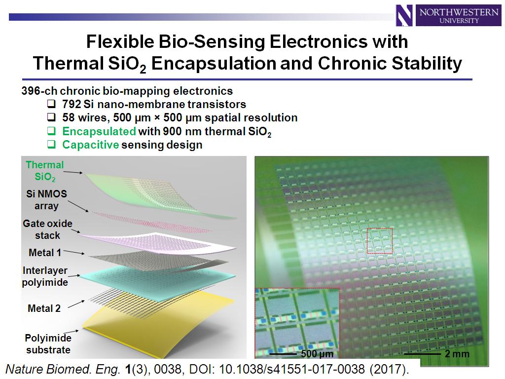 Flexible Bio-Sensing Electronics with Thermal SiO2 Encapsulation and Chronic Stability