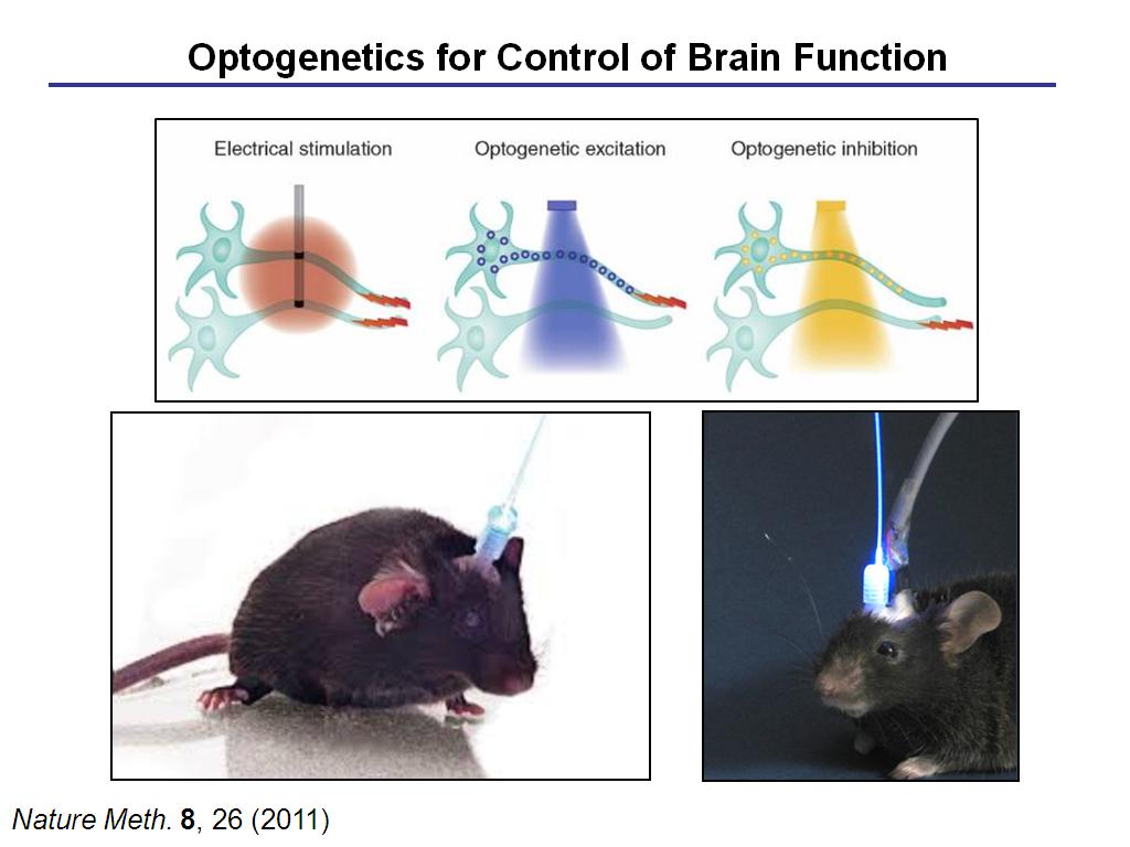 Optogenetics for Control of Brain Function