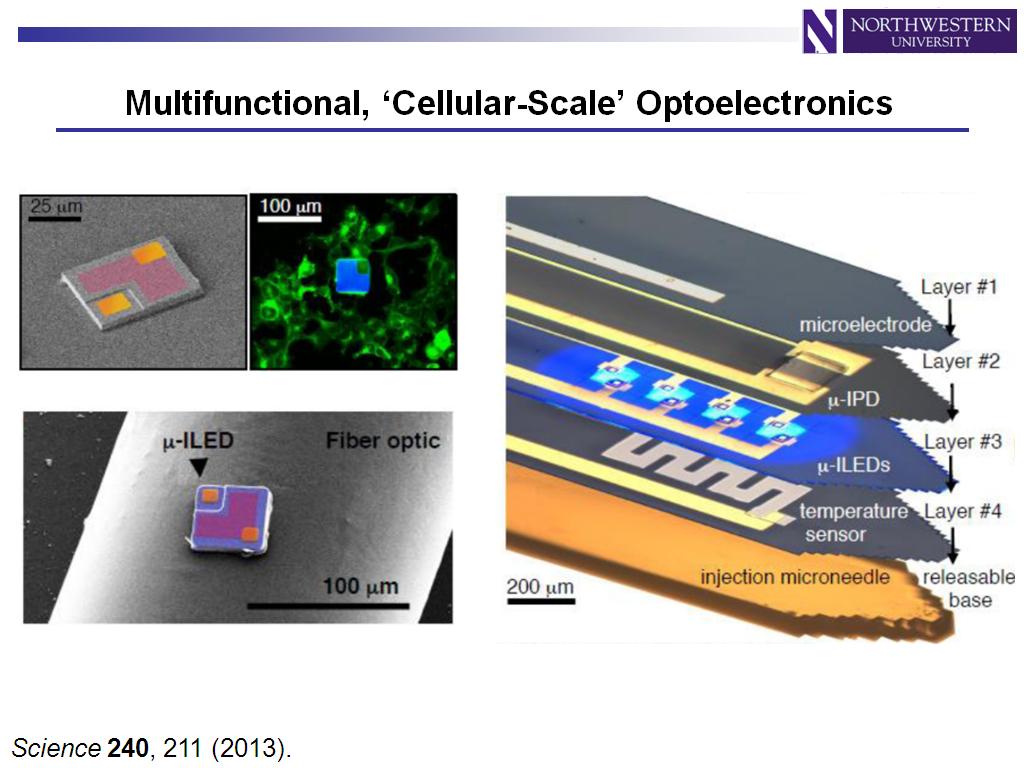 Multifunctional, 'Cellular-Scale' Optoelectronics