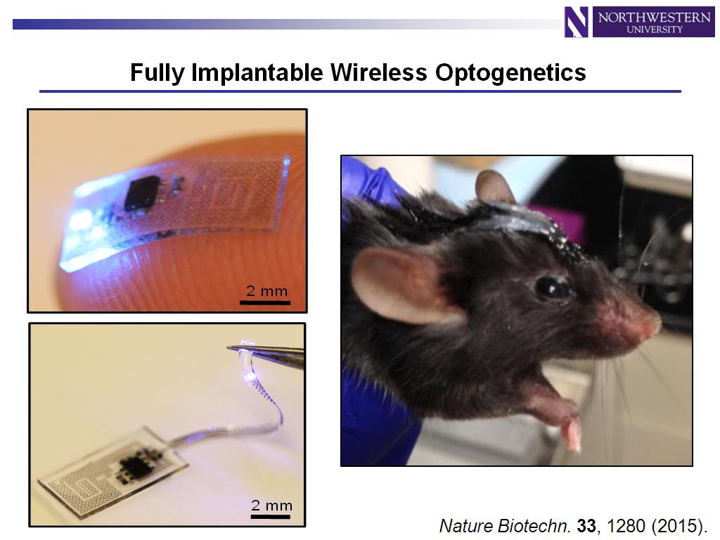 Fully Implantable Wireless Optogenetics