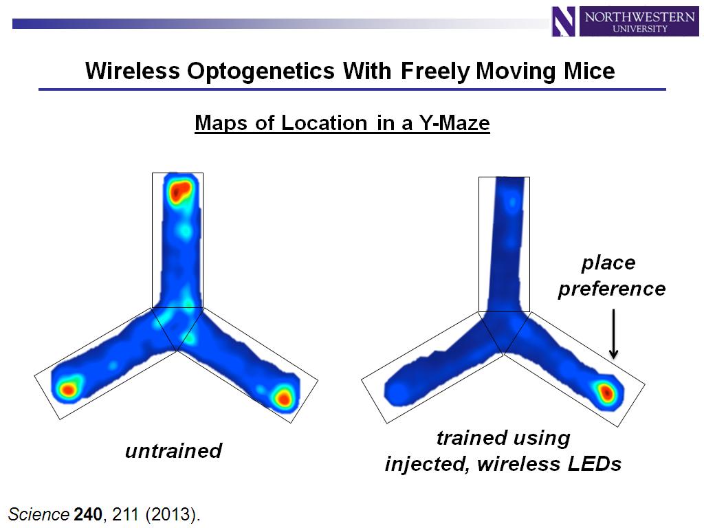 Wireless Optogenetics With Freely Moving Mice