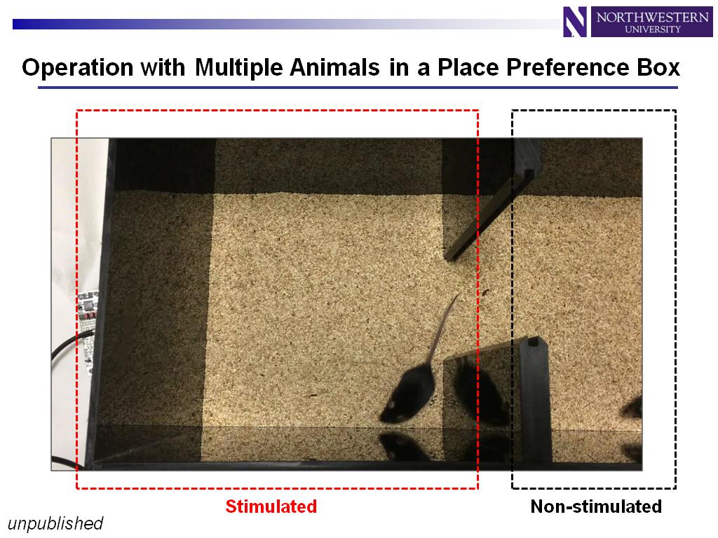 Operation with Multiple Animals in a Place Preference Box