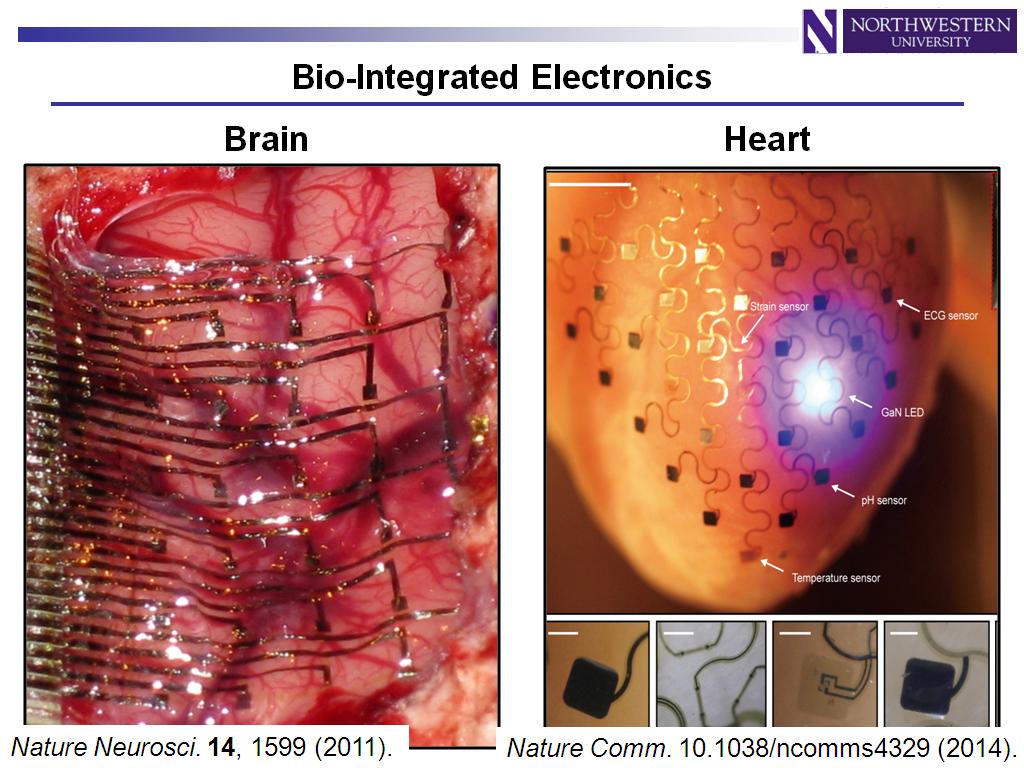 Bio-Integrated Electronics