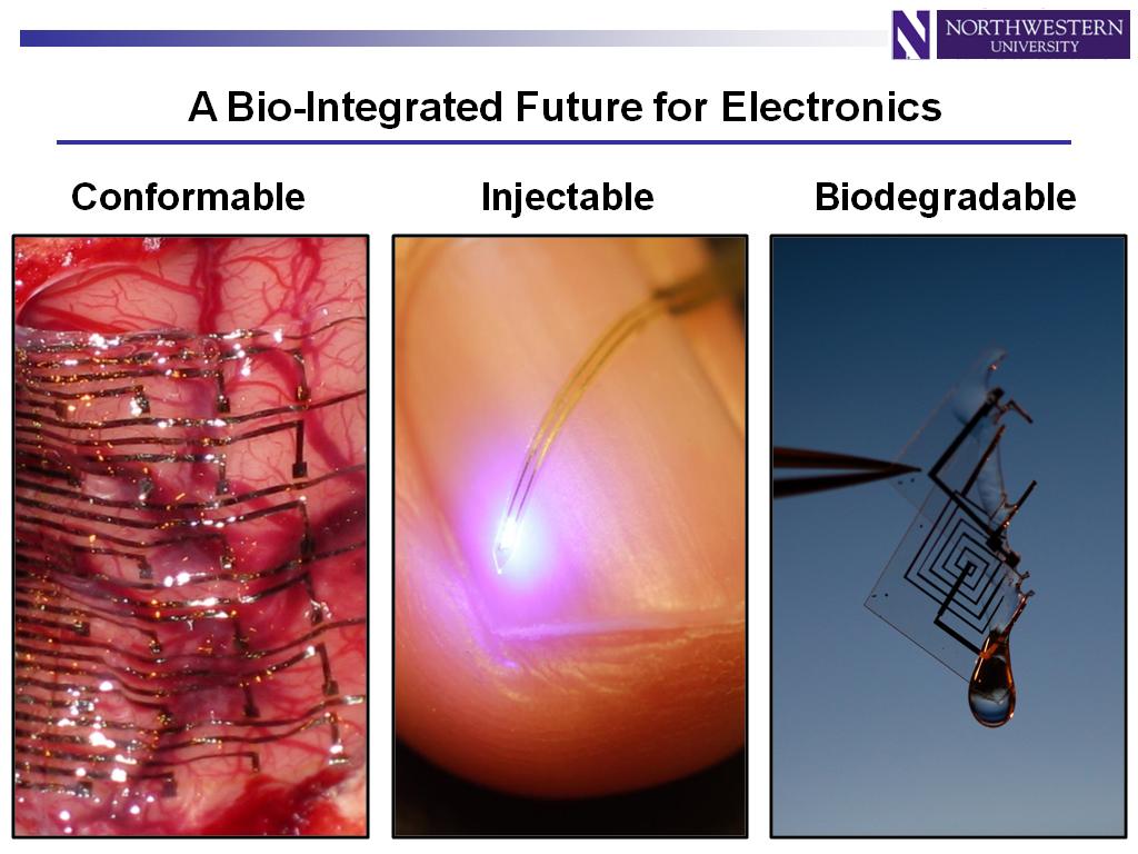 A Bio-Integrated Future for Electronics