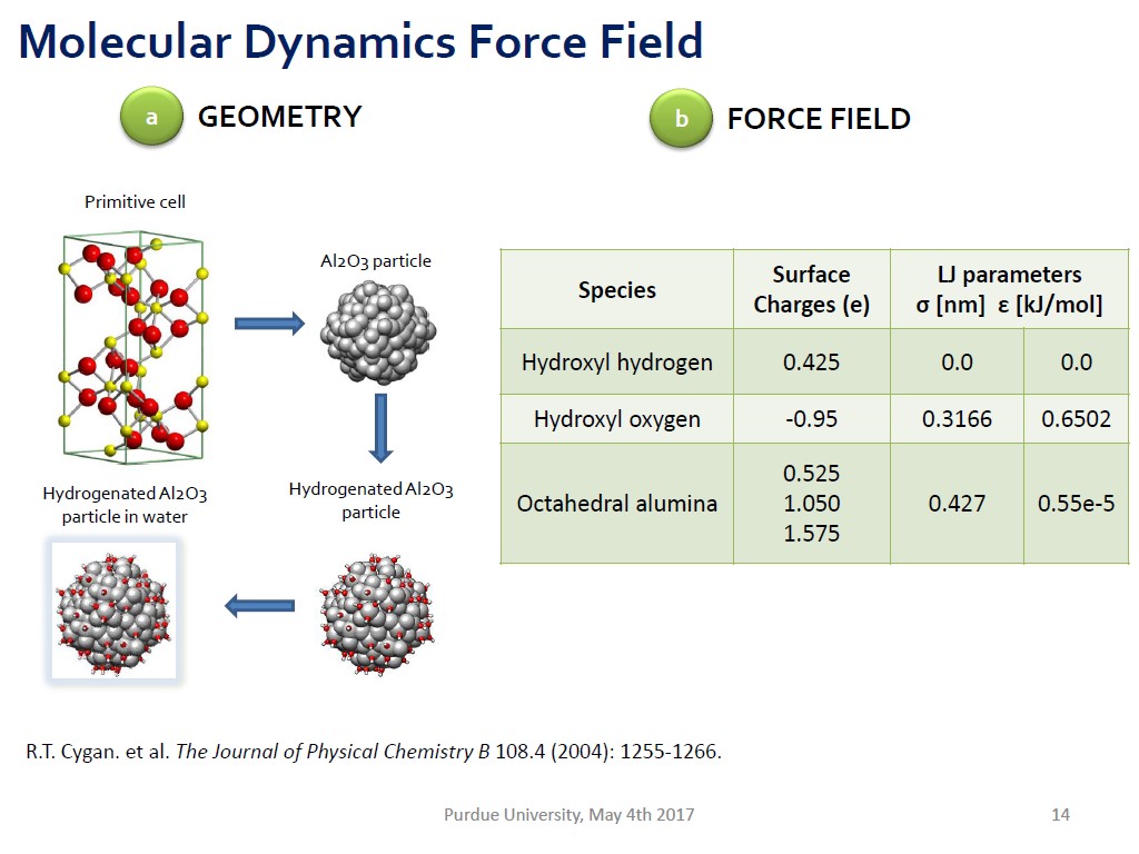 Molecular Dynamics Force Field