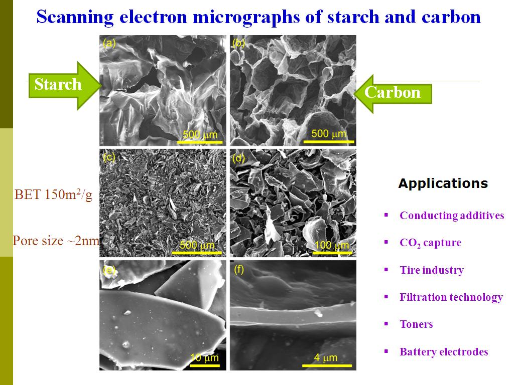 Scanning electron micrographs of starch and carbon