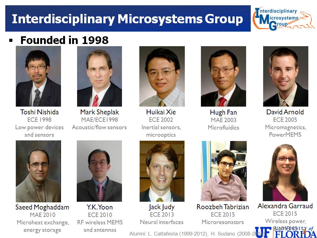 Interdisciplinary Microsystems Group
