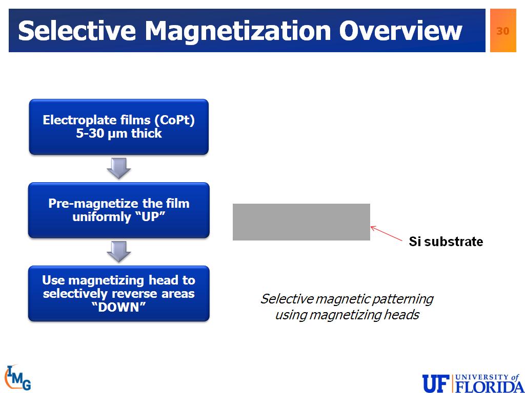 Selective Magnetization Overview